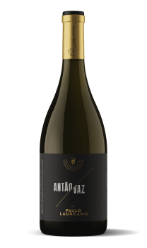 Monocastas_Sup_Antao_Vaz